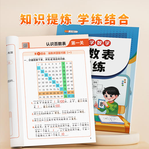 【斗半匠】小学百数表数学专项训练 商品图2