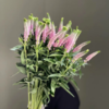 粉色鼠尾丨草花 商品缩略图1