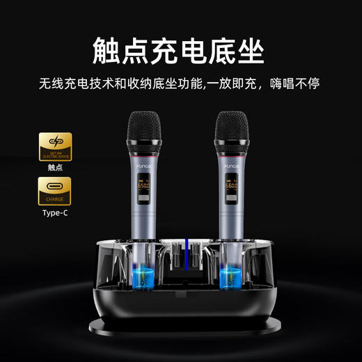 Punos/博浪沙PS-36钢琴师 旗舰版3D环绕影院家庭ktv音响套装一体机双重低音三分频 商品图4