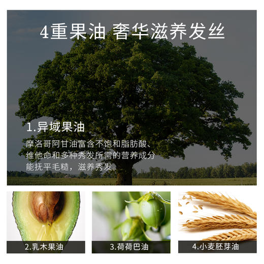 【以色列进口】阿甘可奢养修护洗护洗发水护发素修复干枯毛躁染烫受损400ml 商品图3