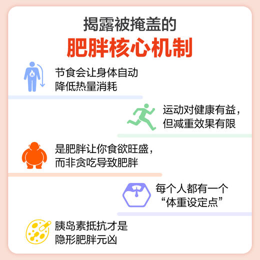 肥胖密码：少吃多动，为何还不瘦 热销书 风靡36国 粉碎反弹死循环 商品图2