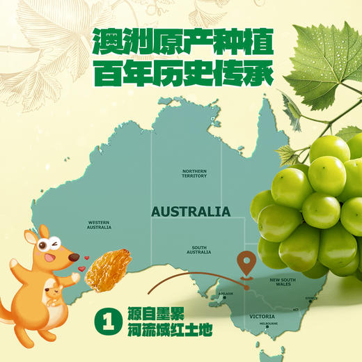 【39.9任选6件】澳洲金提干/70g 商品图2