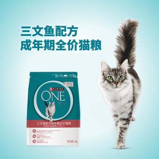 MM 山姆 ONE万牌 三文鱼配方成年期全价猫粮 4kg（2kg*2） 商品图1