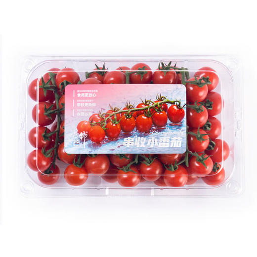 MM 山姆 串收小番茄 1kg 商品图5