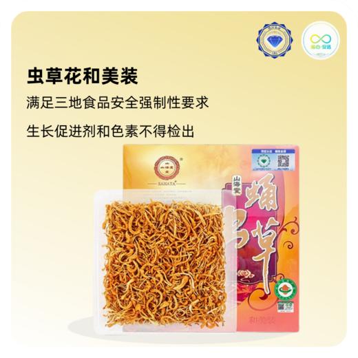 山海堂大孢头蛹虫草奶香粗条和美装｜嚼得到的健康 · 挡不住的奶香！【4.4-4.6不发货，7号正常发货】 商品图0