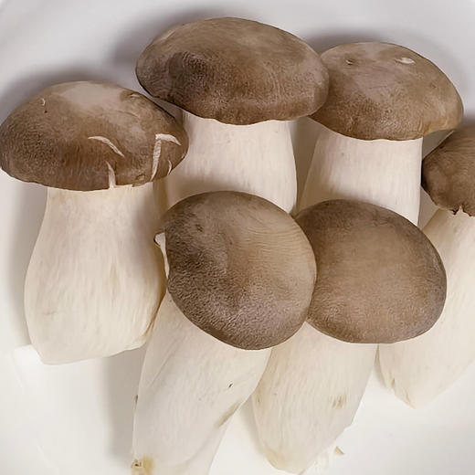 MM 山姆 迷你瓶栽杏鲍菇 520g 商品图4