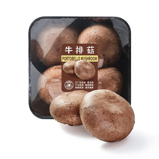 MM 山姆 牛排菇 330g 商品图0