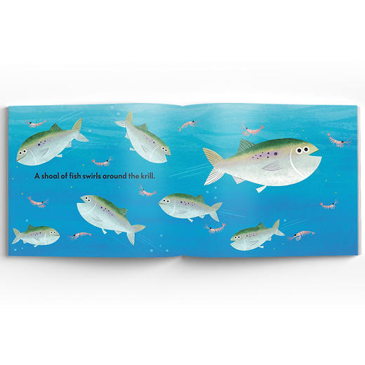 The Sun Shines on the...食物链翻翻书 商品图2