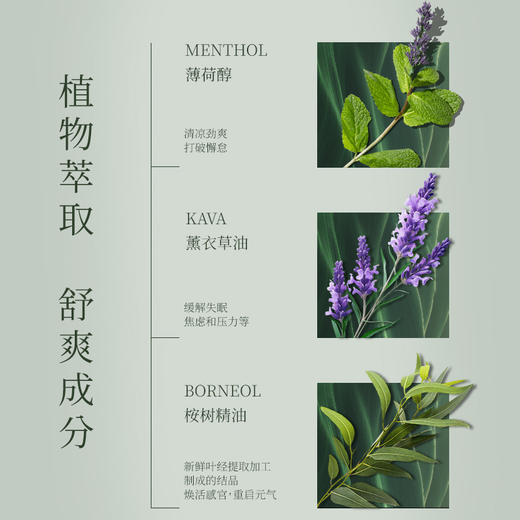 泰国原装进口 KAVAGOOD双头香筒鼻吸  商品图2