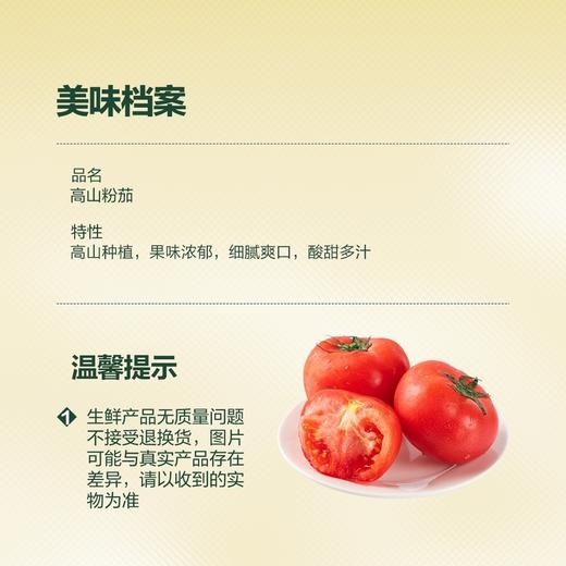 MM 山姆 高山粉茄 1.6kg 商品图2