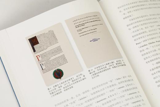 《美术史与书籍史（第二辑）》范景中 名誉主编 章晖、王剑 主编 商品图10