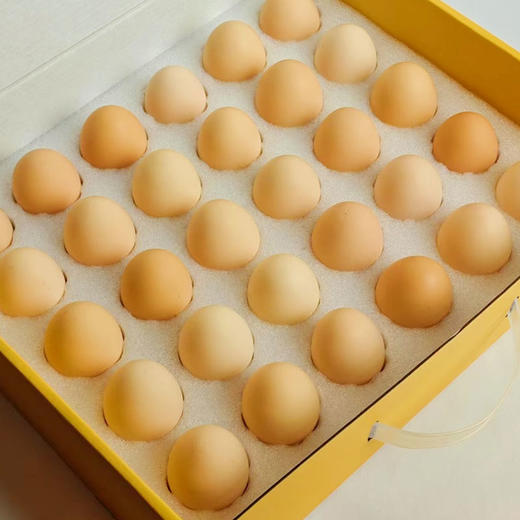 【厂商直发】有机山鸡蛋30枚无抗无农残散养新鲜土鸡蛋有机认证 商品图11