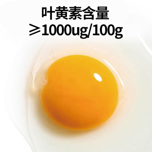 【厂商直发】有机山鸡蛋30枚无抗无农残散养新鲜土鸡蛋有机认证 商品图7