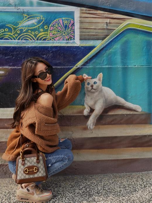 古驰  Horsebit迷你贝壳包   （LZ） 商品图13