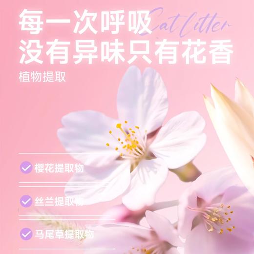【周期购】【甜香系列】耐威甜香系列豆腐猫砂 商品图5
