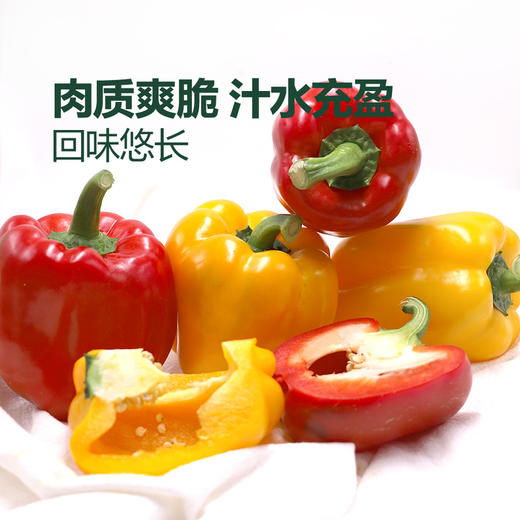 MM 山姆 红黄彩椒 1.2kg 商品图2