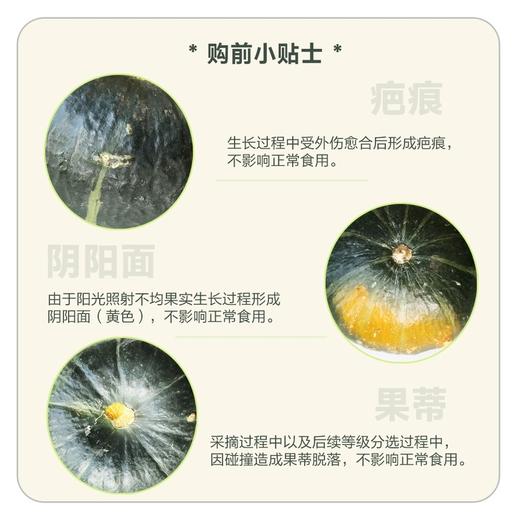 MM 山姆 贝贝南瓜 2.2kg 商品图5