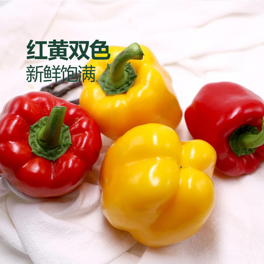 MM 山姆 红黄彩椒 1.2kg 商品图1