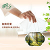 清风欧院抽纸100抽24包整箱装 BR12XSS /家庭清洁/纸品 /清洁纸品 /抽纸 商品缩略图3