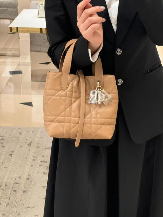 迪奥 25早春新品 土著 Toujours竖版手袋（LZ） 商品图10