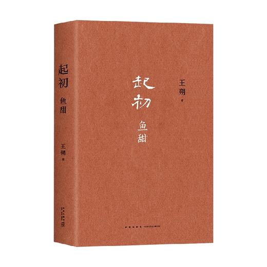 起初 鱼甜 王朔 著 小说 商品图3