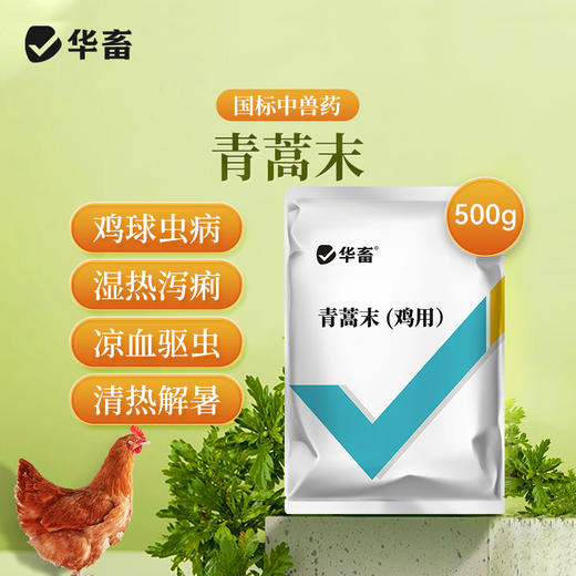 华畜青蒿末鸡球虫病凉血驱虫清热解毒 商品图0