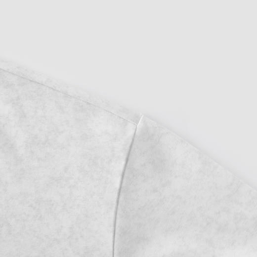 [商场同款]森马短袖T恤男国潮水墨熊猫t恤字母印花2025夏新款上衣 商品图3