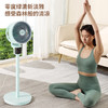 西佑SIUU 遥控八字摇头循环扇 家用大风力可拆卸立式循环风扇空气循环扇 商品缩略图4