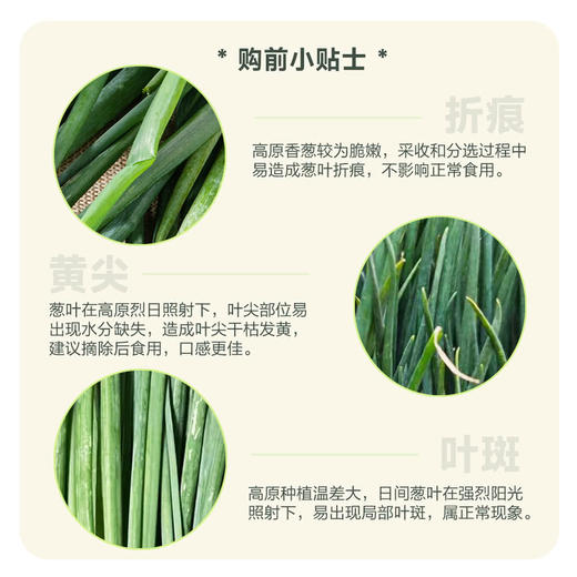 MM 山姆 优野 高原香葱 180g 商品图3