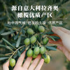 安堤卡意大利原瓶原装进口特级初榨橄榄油1L 冷榨食用油热炒凉拌 /粮油调味 /食用油 /橄榄油 商品缩略图6