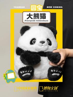 圆宝大熊猫正式登场！