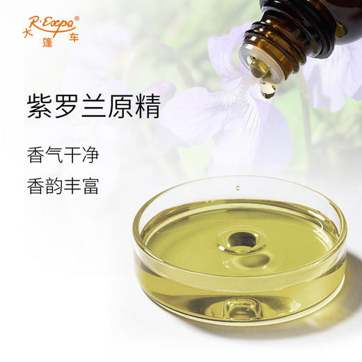 紫罗兰原精 Violet Leaf 印度进口原料批发 芳疗香氛香薰大篷车 商品图1