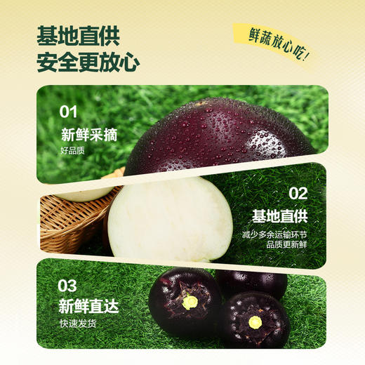 MM 山姆 六叶茄 800g 商品图2