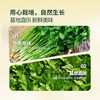 MM 山姆 香菜 100g 商品缩略图2