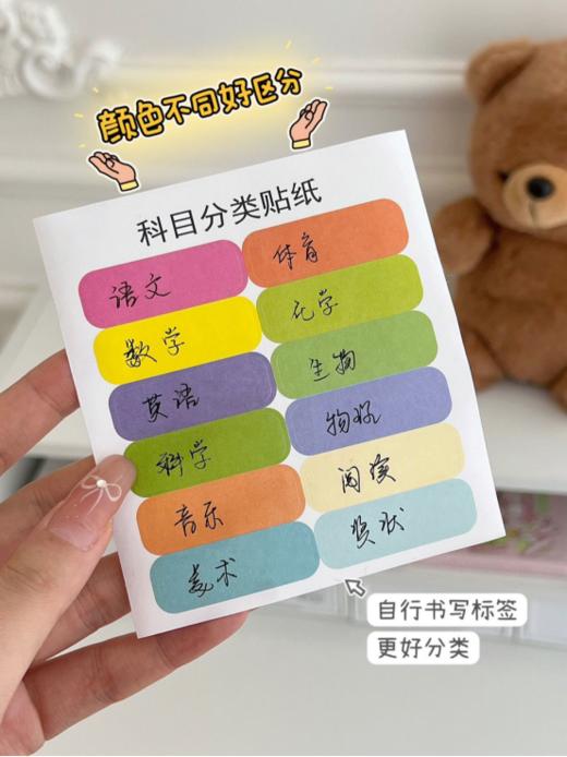 💖暑假王炸产品‼️2个到手仅19.9包邮📦【sufecoco包边竖式风琴包作业资料收纳包】娃儿们的好帮手👏，再多的作业，补习资料，都不是事儿‼  商品图5