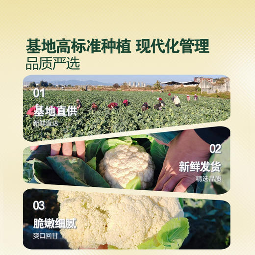 MM 山姆 松花菜 800g 商品图2