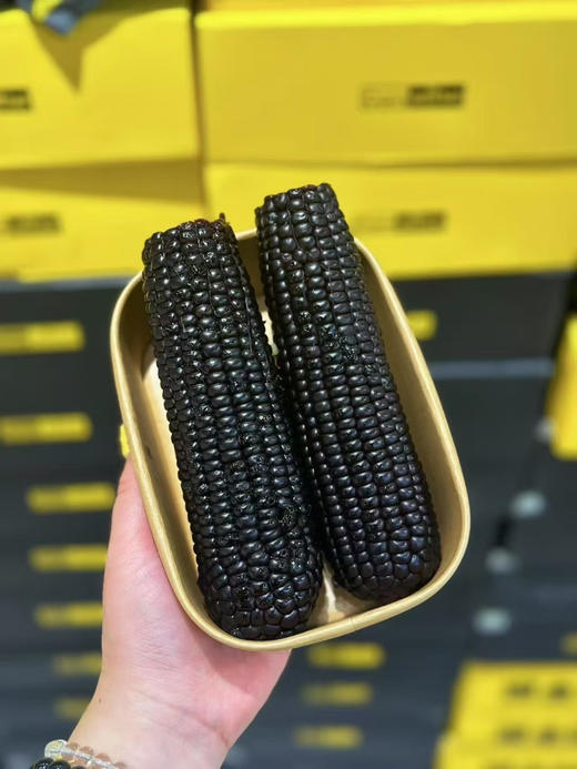 Corn ultra ✨ 黑金糯玉米简直是玉米界的宝藏！
脆嫩清甜、清香四溢，花青素含量是蓝莓5倍🫐 0防腐、0农药、0化肥，非转基因超安心🌿 满满天然黑色素，健康又美味，开启养生新体验～ 商品图4
