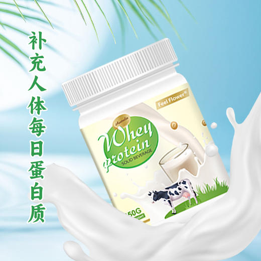 斐利德乳清蛋白固体饮料 450g 商品图3