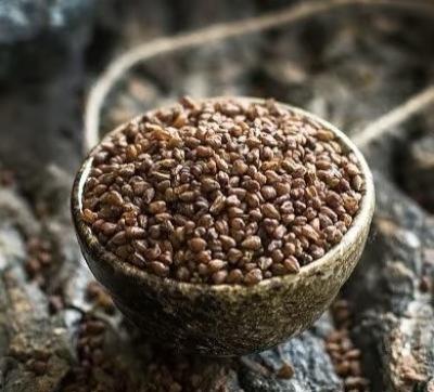 🔥【黑珍珠苦荞茶】来啦！19.9到手3袋！💥养生女孩直接锁死！三高人群也能冲！✨刮油解腻🍵大餐救星非它莫属！ 商品图5