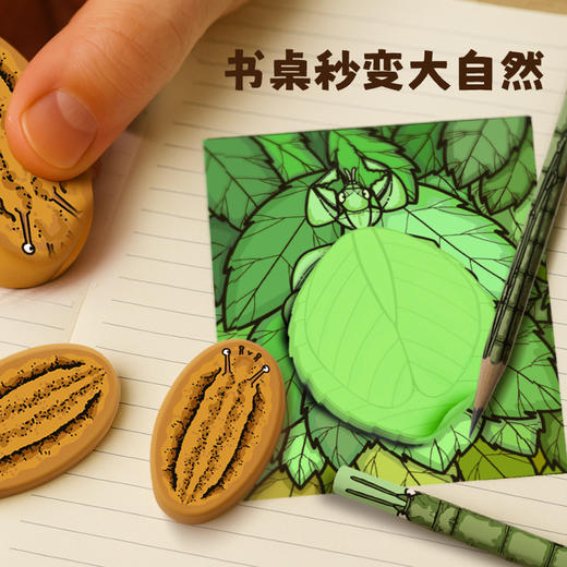 博物大发现:找找看礼盒版 无穷小亮 ，唐志远科普新作 揪出昆虫伪装者 商品图1