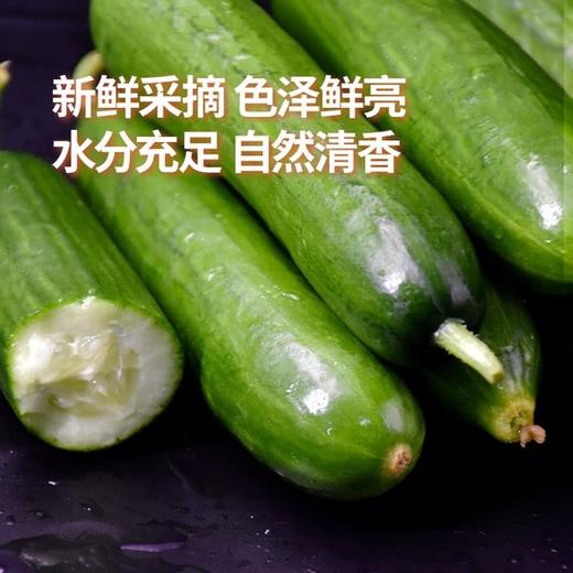 MM 山姆 小青瓜（黄瓜）1kg 商品图3