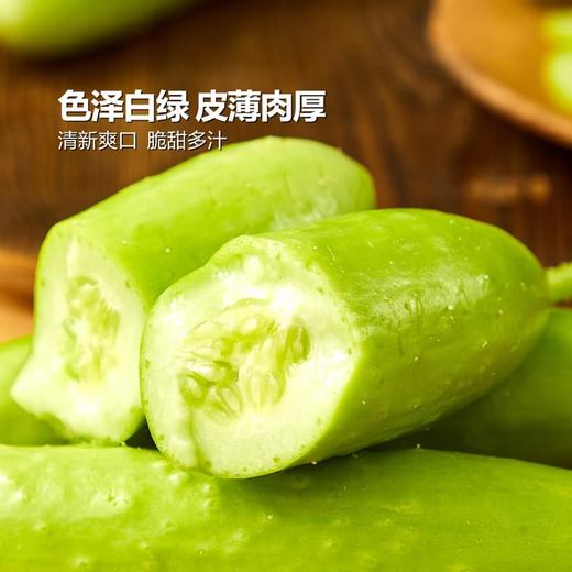 MM 山姆 奶油小黄瓜 850g 商品图3