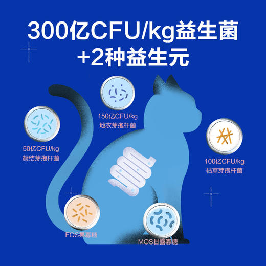 MM 山姆 蓝氏 猎鸟乳鸽均衡营养全价猫粮 5kg 商品图7