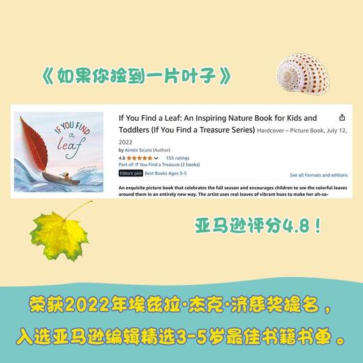 自然魔法系列 如果你捡到一片叶子 如果你发现一个贝壳 3-7岁 艾米·西库罗 著 儿童绘本 商品图3