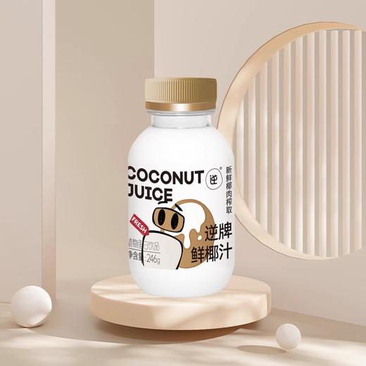 【NFC鲜椰汁】入口丝滑 进口鲜榨 无菌冷灌装 好喝健康 欢聚必备 商品图1