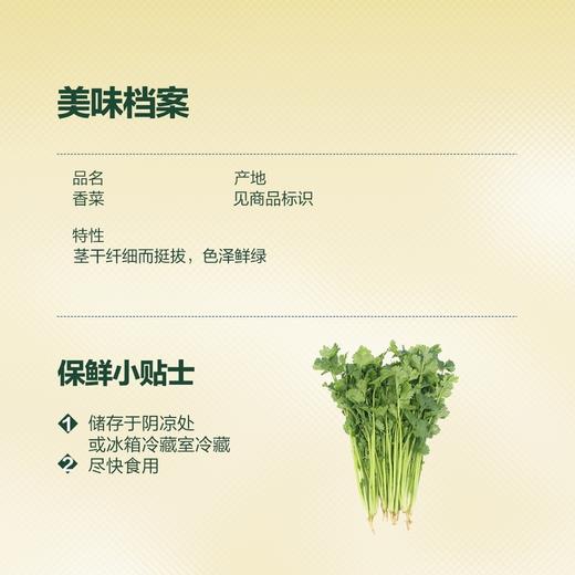 MM 山姆 香菜 100g 商品图1
