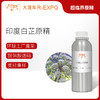 印度白芷原精 Angelica 进口印度白芷精油原料批发芳疗香氛香薰精油 商品缩略图0