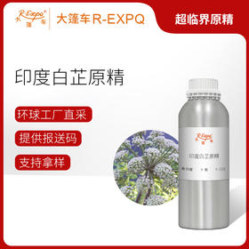 印度白芷原精 Angelica 进口印度白芷精油原料批发芳疗香氛香薰精油