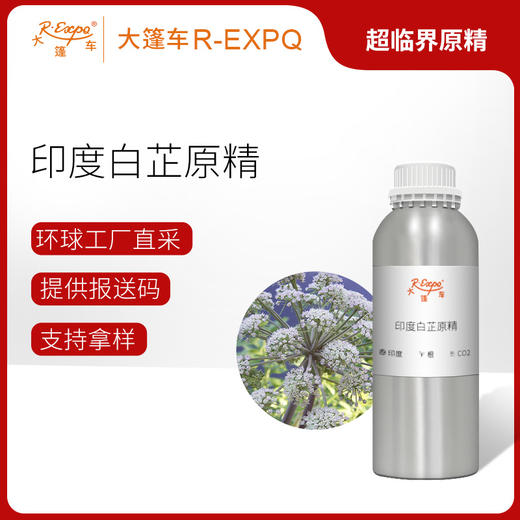 印度白芷原精 Angelica 进口印度白芷精油原料批发芳疗香氛香薰精油 商品图0