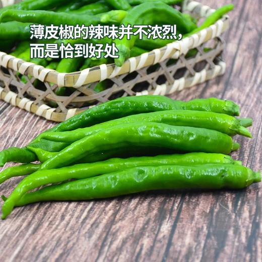 MM 山姆 辣椒炒肉薄皮椒 400g 商品图3